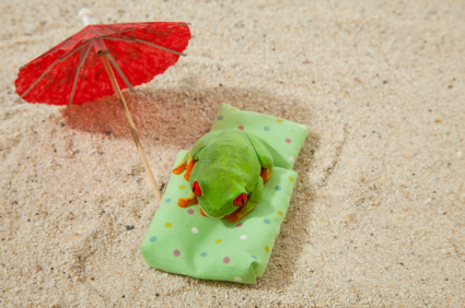 iStock_000014558205XSmall-vacationFrog